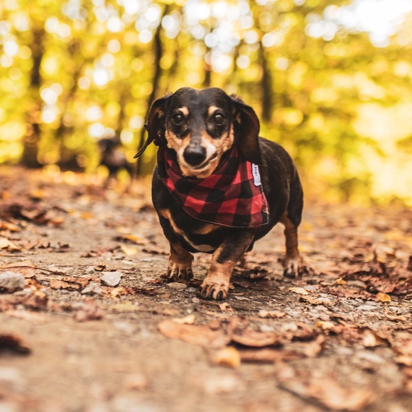 Meet your Posher, Shana - Picture 11 of 16